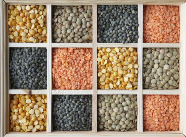 Agriculture Products